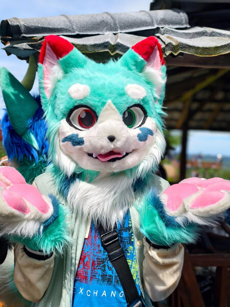 📷 Aisyah Zaskia Harnny (FB)