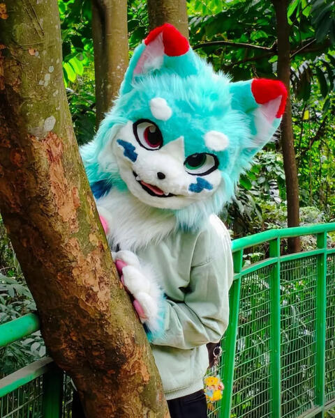 📷 Aditya Algifari (FB)