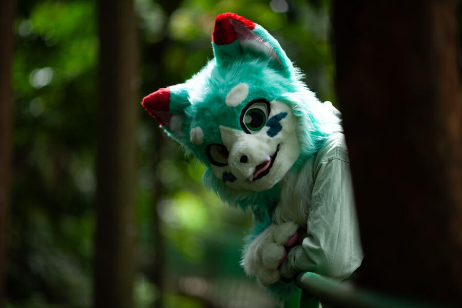 📷 Aditya Algifari (FB)